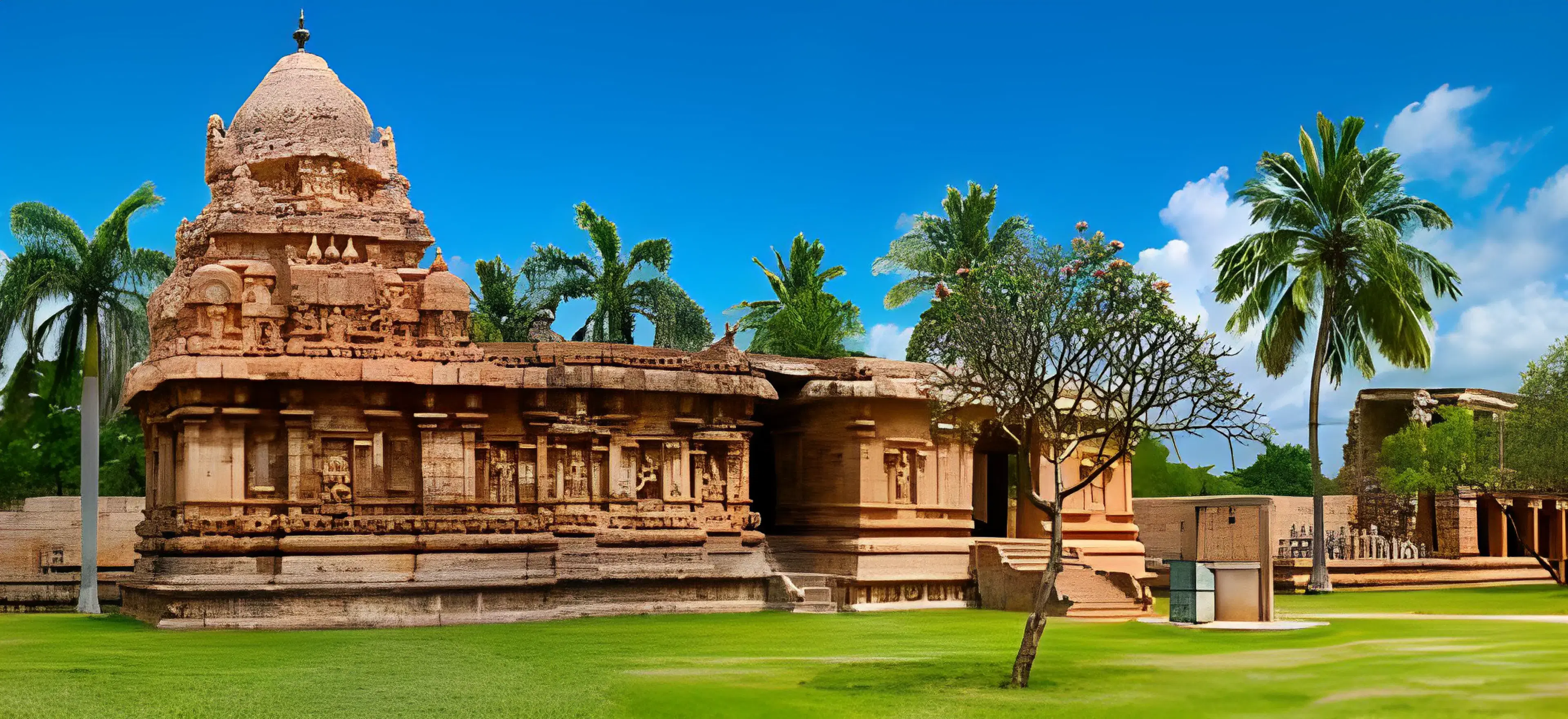 Shruti's background banner