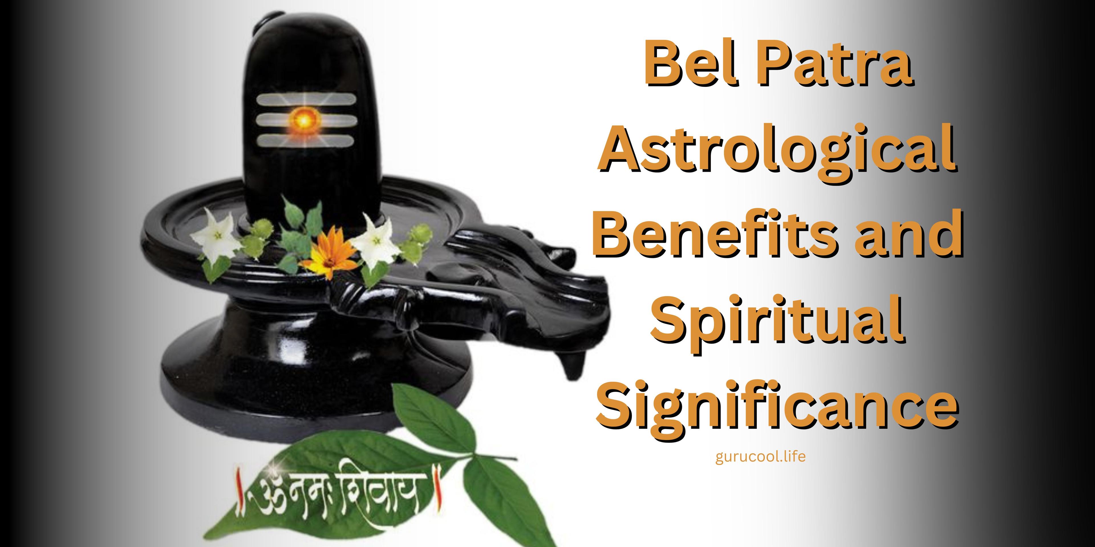 Bel Patra Astrological Benefits and Spiritual Significance